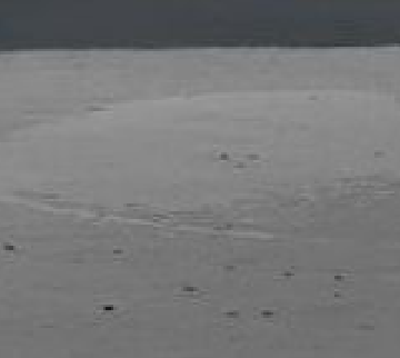 퍼티 비침 현상